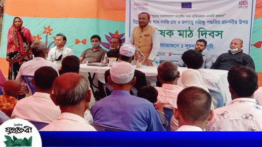 সিলেট সদরের হাটখোলা ইউনিয়নে কৃষক মাঠ দিবস পালন