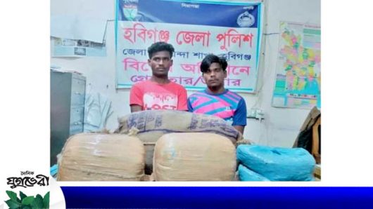 চুনারুঘাটে ২৮ কেজি গাঁজাসহ গ্রেপ্তার দুই