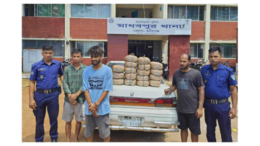 মাধবপুরে ৩৪ কেজি গাঁজাসহ ৩ মাদক কারবারি গ্রেপ্তার