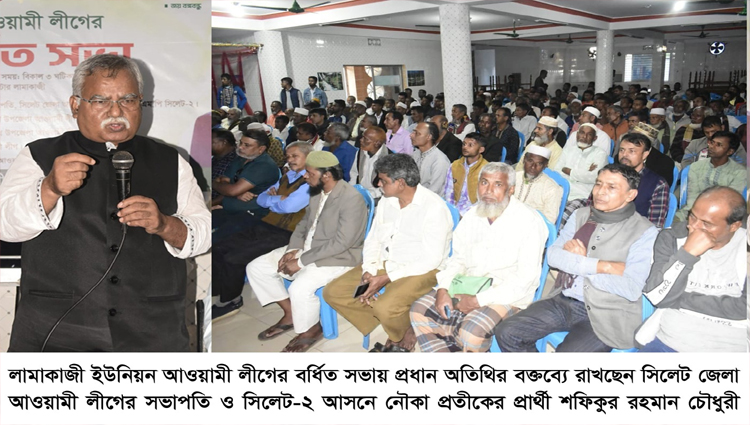 নৌকার বিজয় সুনিশ্চিতে ঐক্যবদ্ধভাবে কাজ করতে হবে : শফিক চৌধুরী