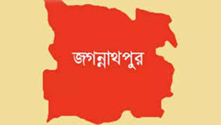 জগন্নাথপুরে ছাত্রদল নেতার বাড়িতে হামলা ছোট বোন আহত