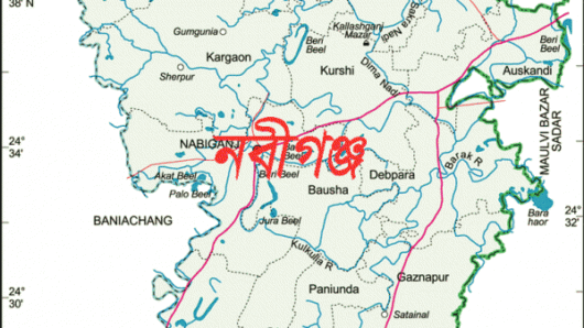 নবীগঞ্জে বাঙ্কার খুড়তে গিয়ে মাটি চাপায় সেনা সদস্য নিহত