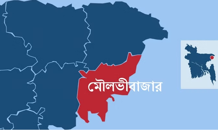 মৌলভীবাজারে জামায়াত-শিবির নিঃস্ব করে দিলো ছাত্রলীগ নেতা তুহিনকে