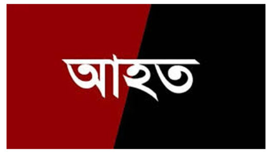 বিশ্বনাথে ডাকাত দলের হামলা : ছোট ভাইকে বাঁচাতে গিয়ে বড় ভাই আহত