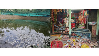 বালাগঞ্জ উপজেলা ছাত্রলীগের যুগ্ন সাধারণ সম্পাদক শামছুদ্দোহা শাওন’র ব্যবসা প্রতিষ্ঠানে ভাঙচুর : মাছের খামারে বিষ প্রয়োগ