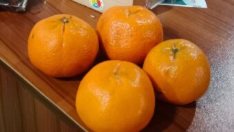 মৌলভীবাজারে এক হালি কমলা ৫০ হাজার টাকায় বিক্রি