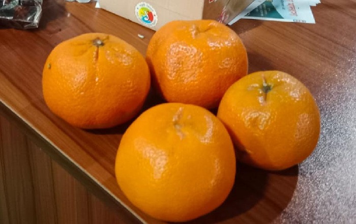 মৌলভীবাজারে এক হালি কমলা ৫০ হাজার টাকায় বিক্রি